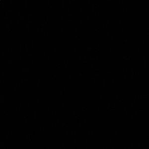 Meet your Posher, Trisha